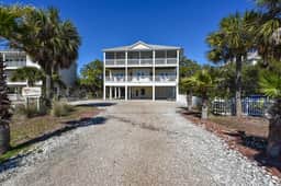 5 Palms - Image 3