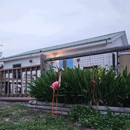 Starry Night Cottage - Image 2