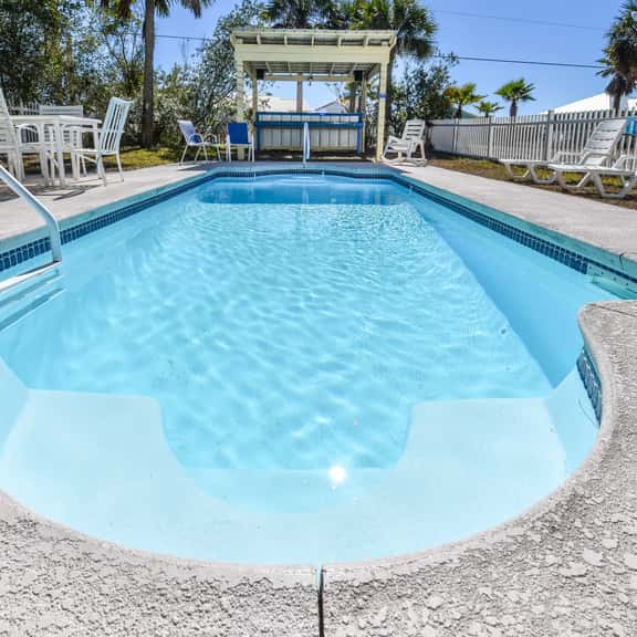 5 Palms - Image 1