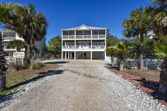 5 Palms - Image 3